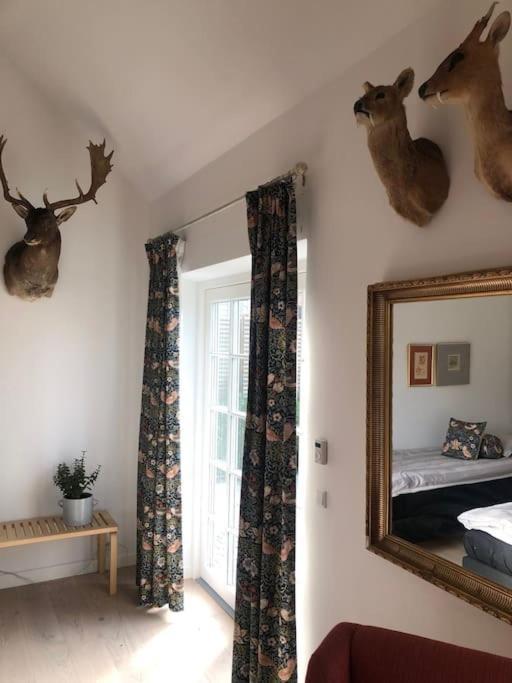 Cozy, Quiet Guest House Perfect For Business Or Pleasure Hillerød Dış mekan fotoğraf