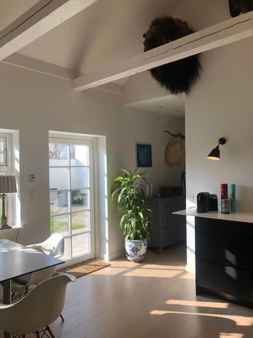 Cozy, Quiet Guest House Perfect For Business Or Pleasure Hillerød Dış mekan fotoğraf