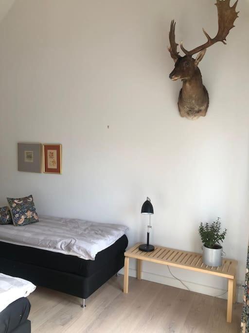 Cozy, Quiet Guest House Perfect For Business Or Pleasure Hillerød Dış mekan fotoğraf