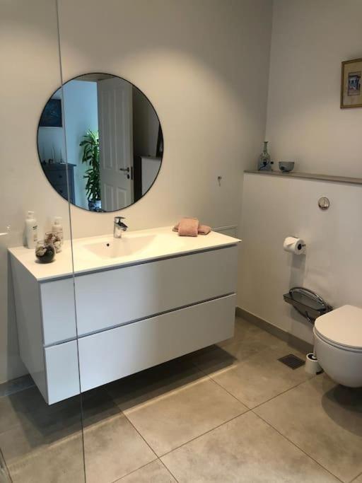 Cozy, Quiet Guest House Perfect For Business Or Pleasure Hillerød Dış mekan fotoğraf