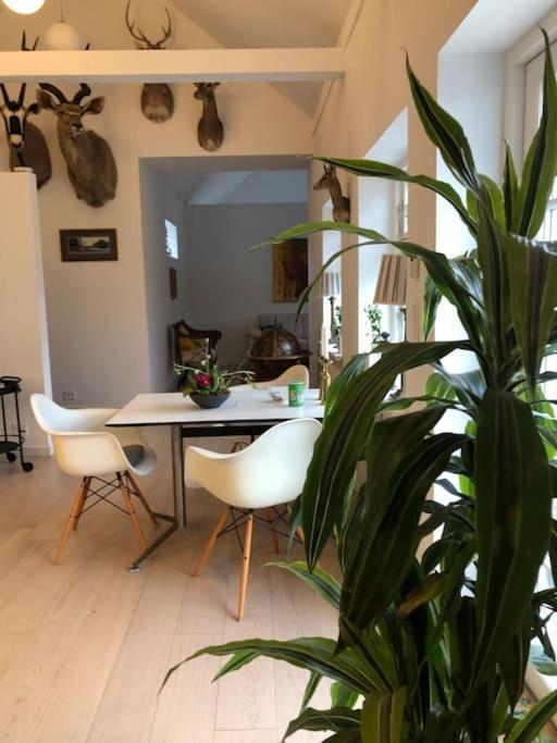 Cozy, Quiet Guest House Perfect For Business Or Pleasure Hillerød Dış mekan fotoğraf