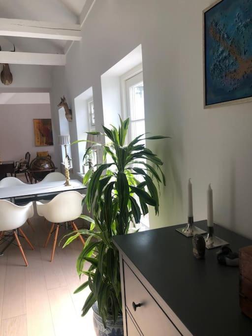 Cozy, Quiet Guest House Perfect For Business Or Pleasure Hillerød Dış mekan fotoğraf