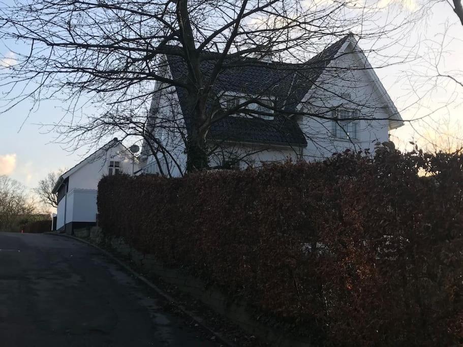 Cozy, Quiet Guest House Perfect For Business Or Pleasure Hillerød Dış mekan fotoğraf