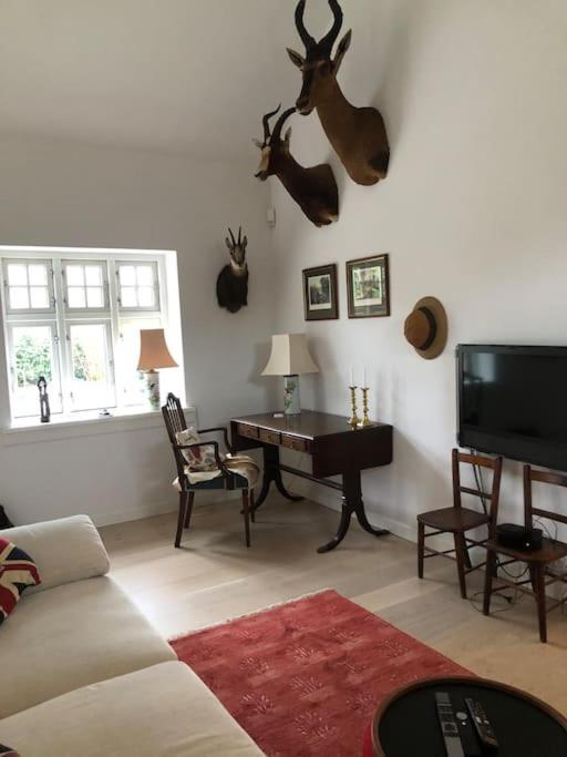 Cozy, Quiet Guest House Perfect For Business Or Pleasure Hillerød Dış mekan fotoğraf